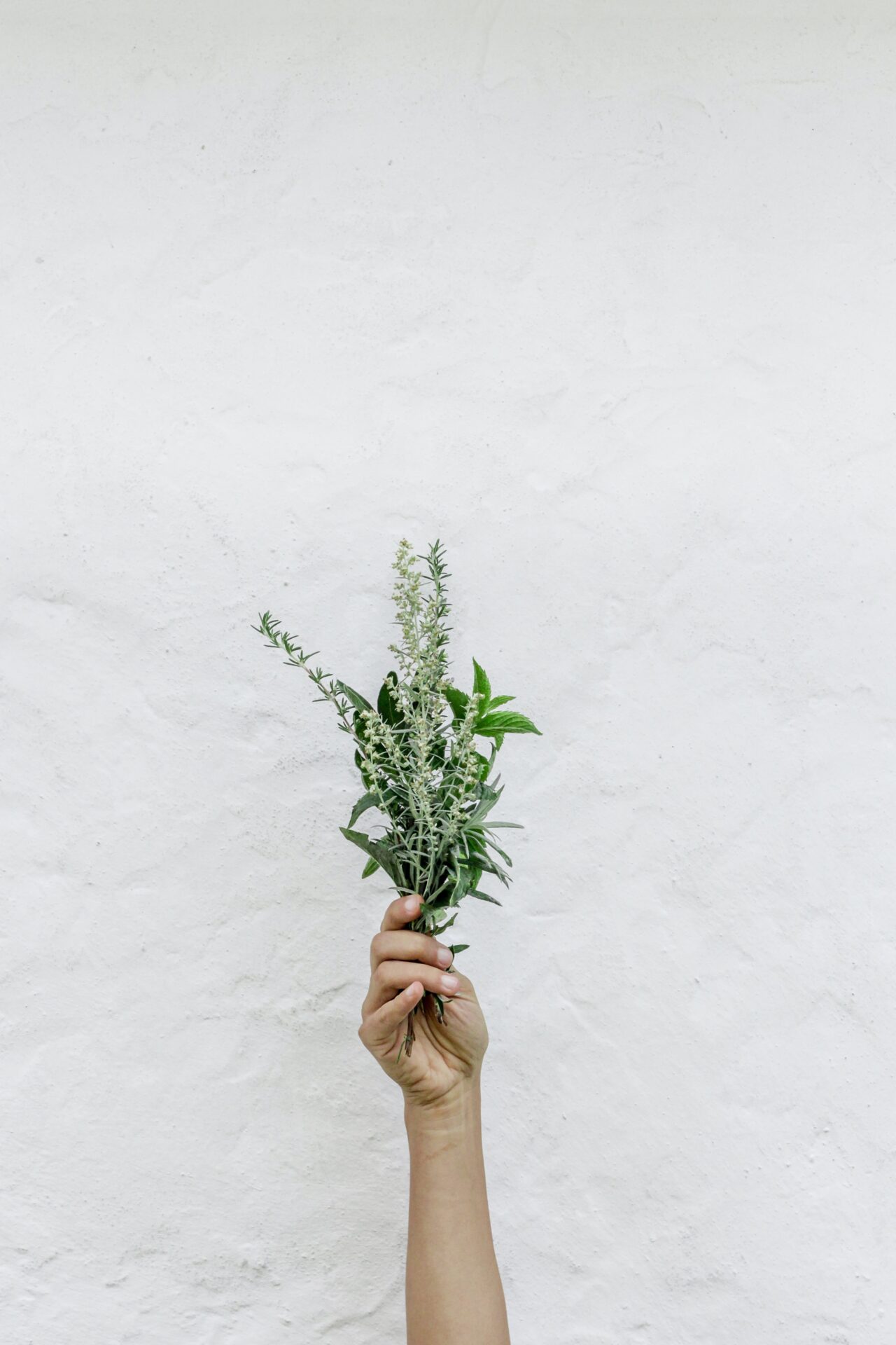 A hand hosts up a bundle of sage.